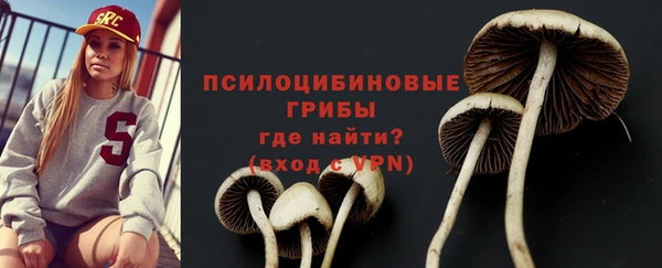 дмт Абаза