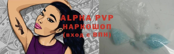 дмт Абаза