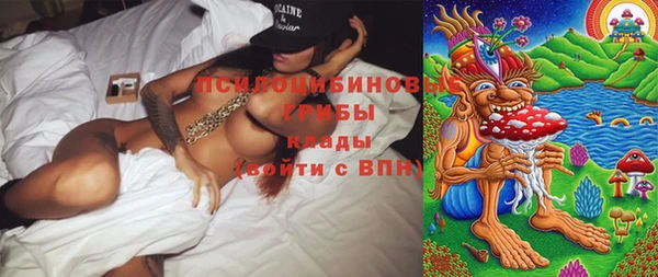 дмт Абаза