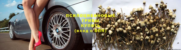 эйфоретик Абдулино