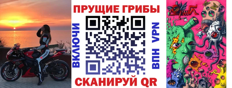 купить сайты Мосальск Галлюциногенные грибы прущие грибы
